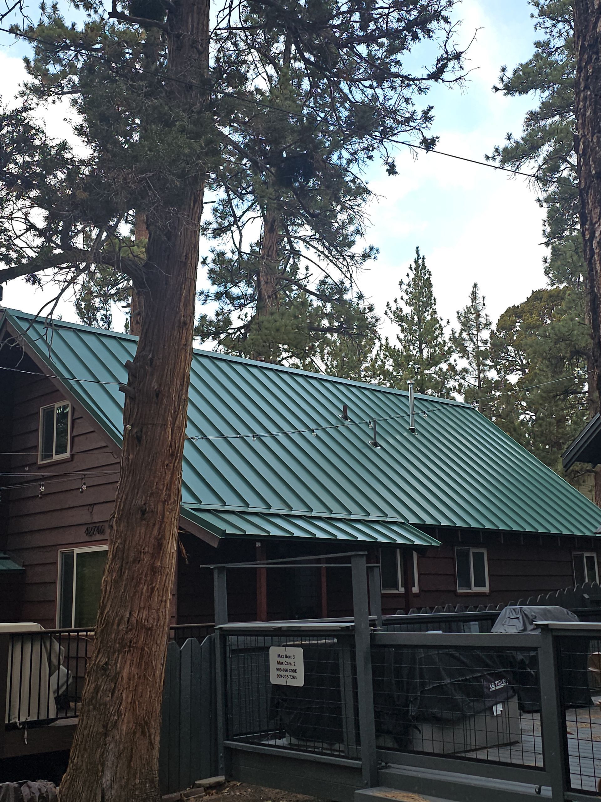 A house with a green roof is surrounded by trees