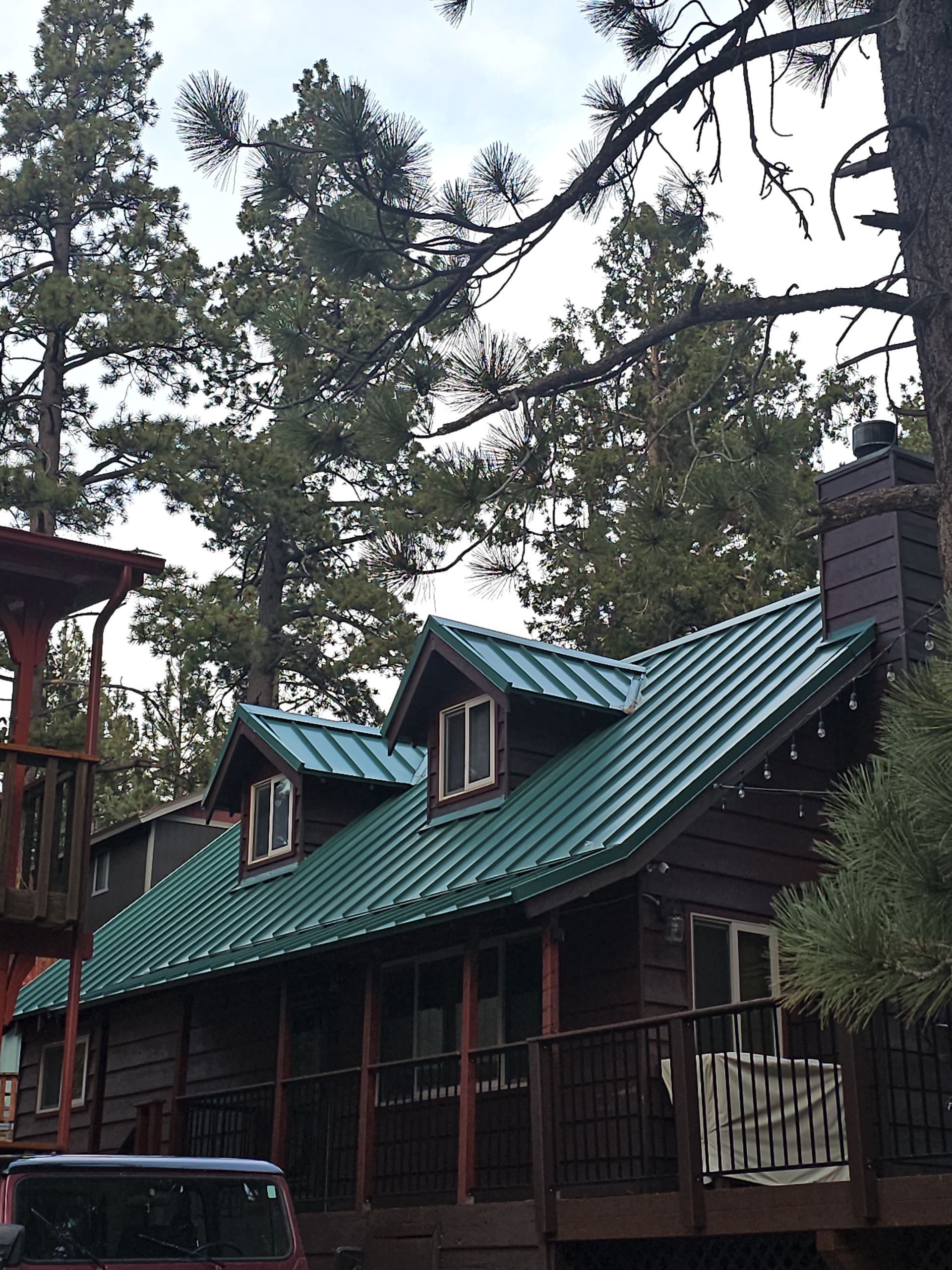 A house with a green roof is surrounded by trees