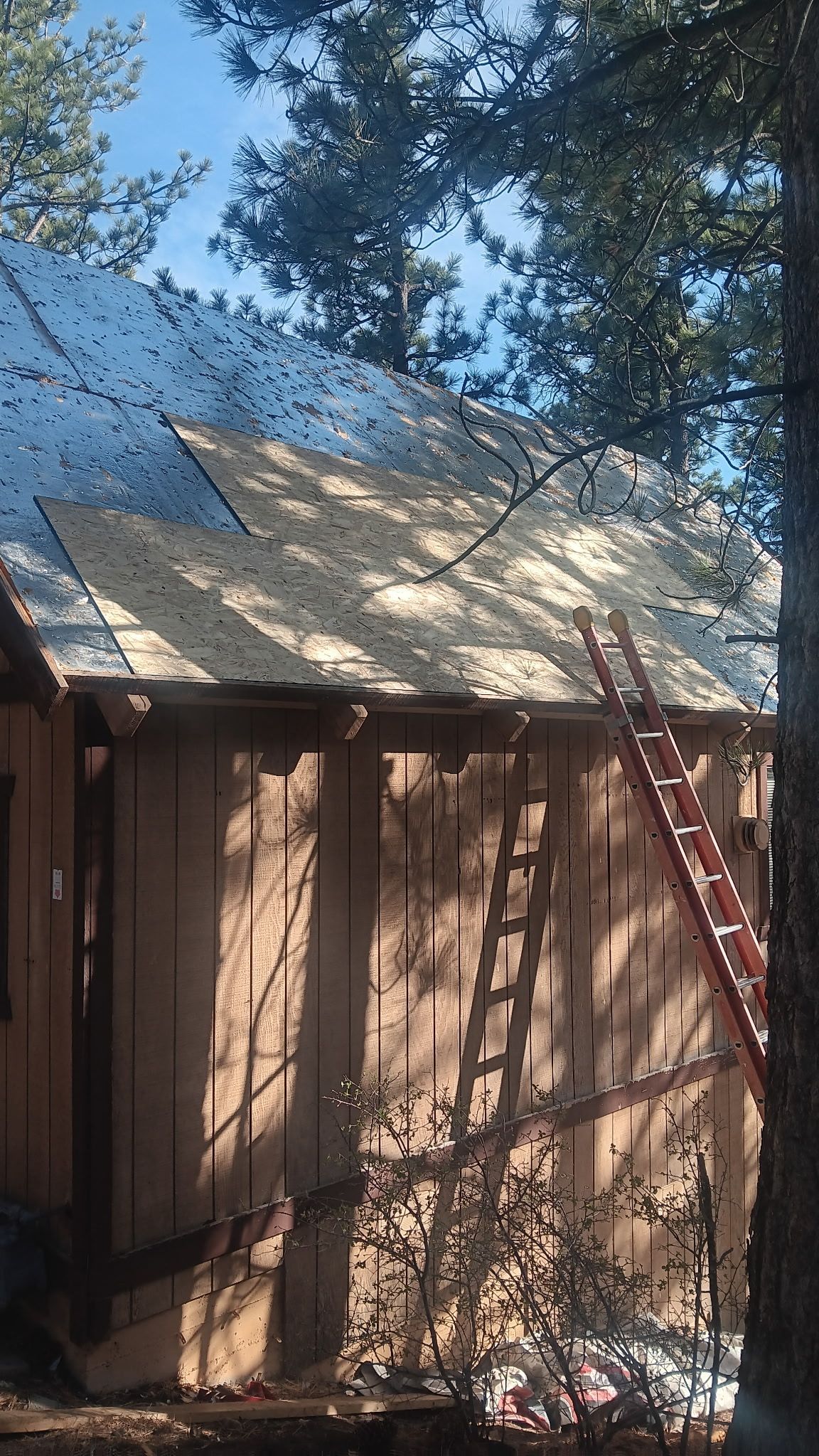 A ladder is hanging from the side of a wooden building.