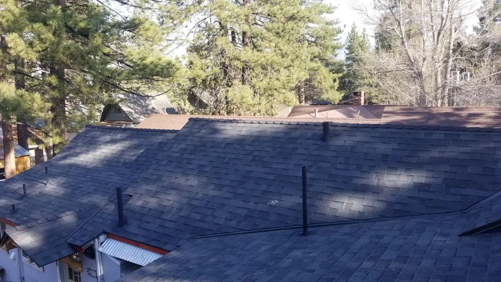 A roof of a house with a lot of trees in the background