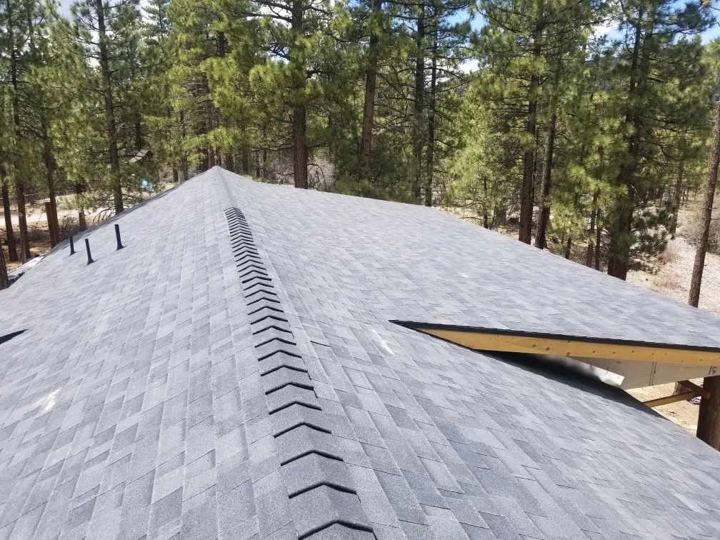 A roof with a row of arrows on it is surrounded by trees.