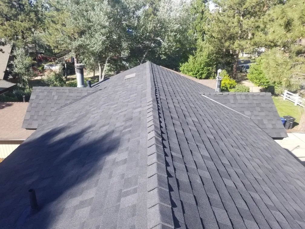 The roof of a house with a black roof and trees in the background.