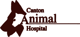 Canton Animal Hospital