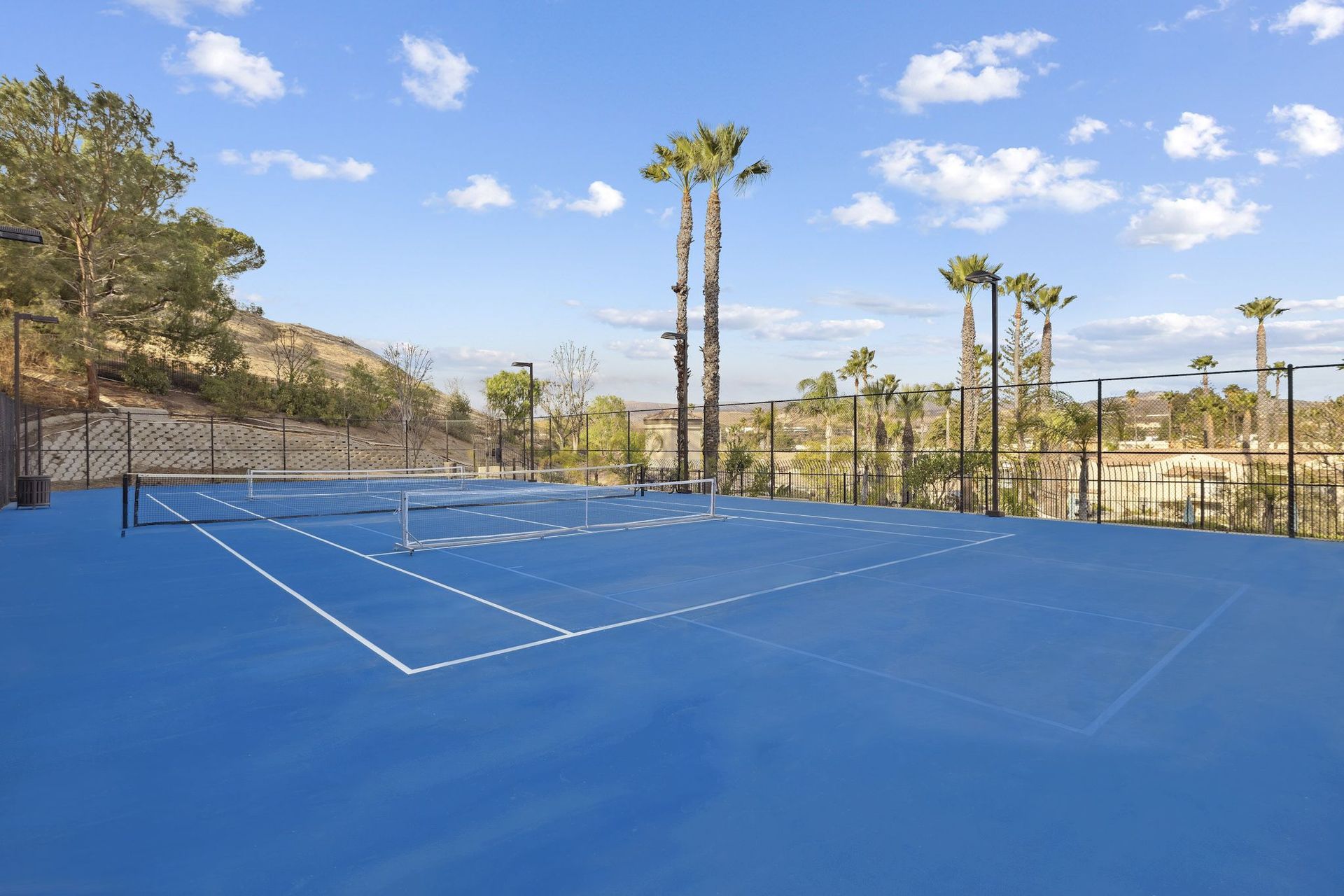 Blue outdoor tennis court with net, palm trees, and a chain-link fence.