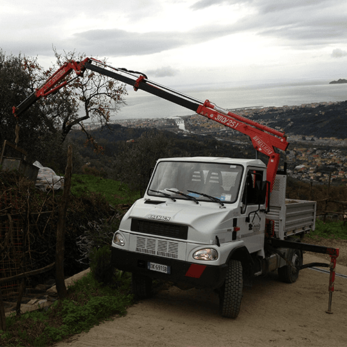 camion con braccio meccanico