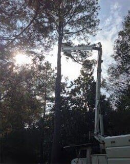 Pruning Trees using Lift-Arm Truck — Hazardous Tree Removal in Midlothian, VA