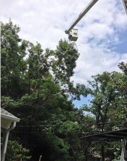 Lift-Arm Truck in Action — Hazardous Tree Removal in Midlothian, VA