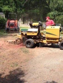Stump Grinder Mulchers — Hazardous Tree Removal in Midlothian, VA