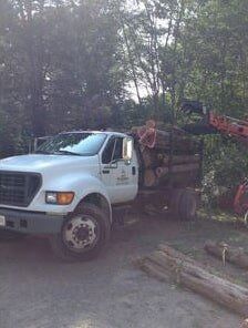 Bunch of Logs on a Truck — Hazardous Tree Removal in Midlothian, VA