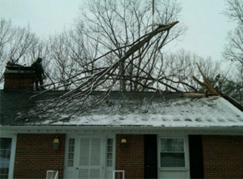 Fallen Branch of Tree on a Roof — Hazardous Tree Removal in Midlothian, VA