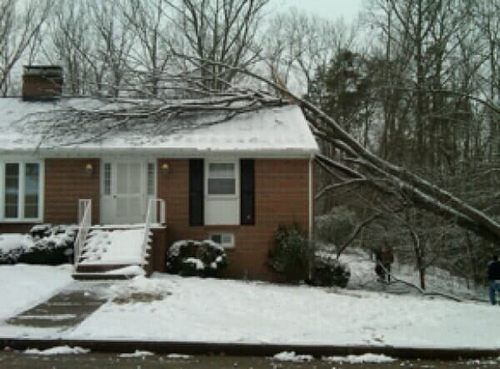 Fallen Tree on the Roof — Hazardous Tree Removal in Midlothian, VA