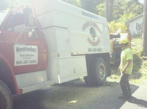 Woodchukers Truck — Hazardous Tree Removal in Midlothian, VA
