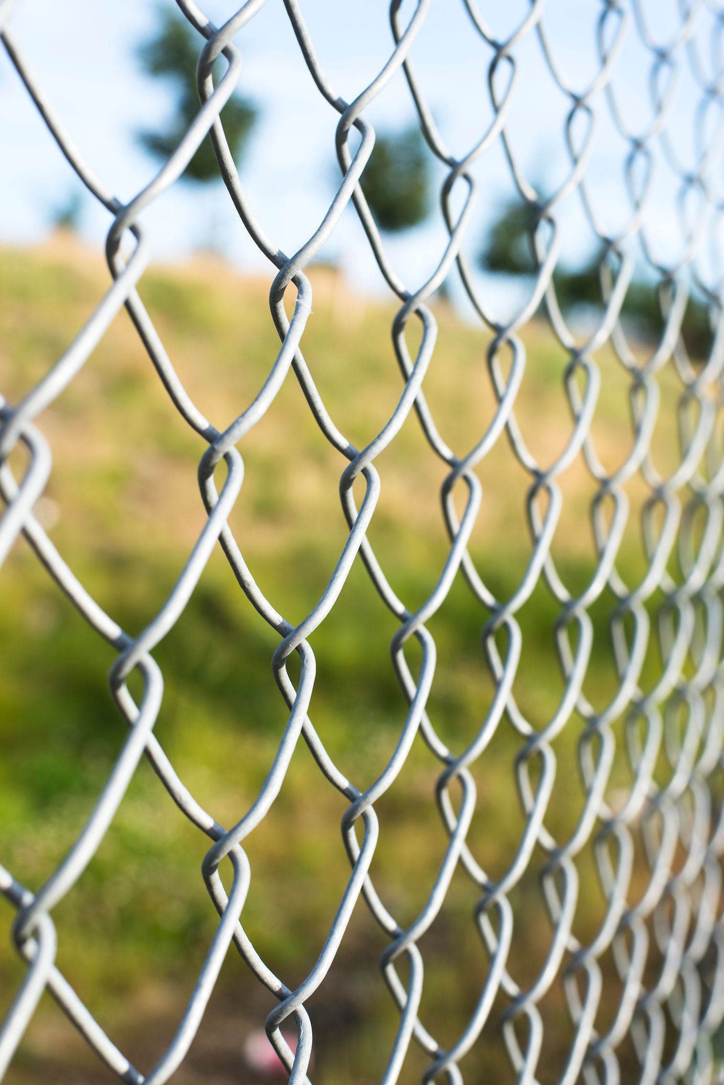A close up of a chain link fence with trees in the background - Maywood, IL - Anaya & Sons Fence Company