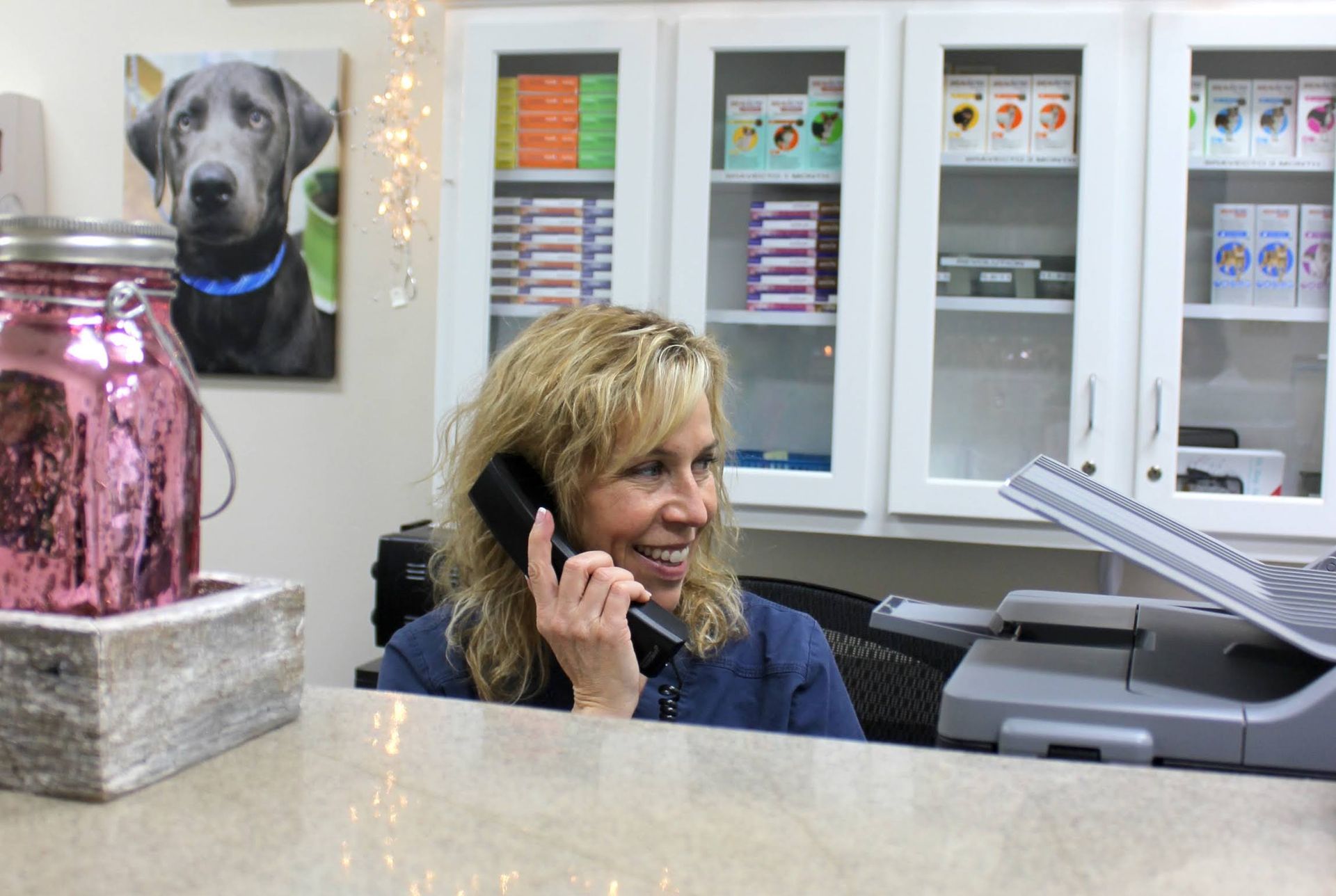 Vet Clinic Canton, GA Acres Mill Veterinary Clinic