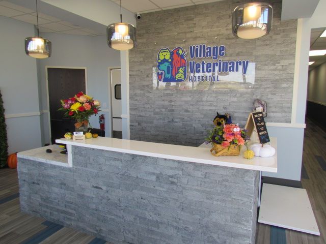 Reception area of Village Veterinary Clinic with sign, counter, and flowers.