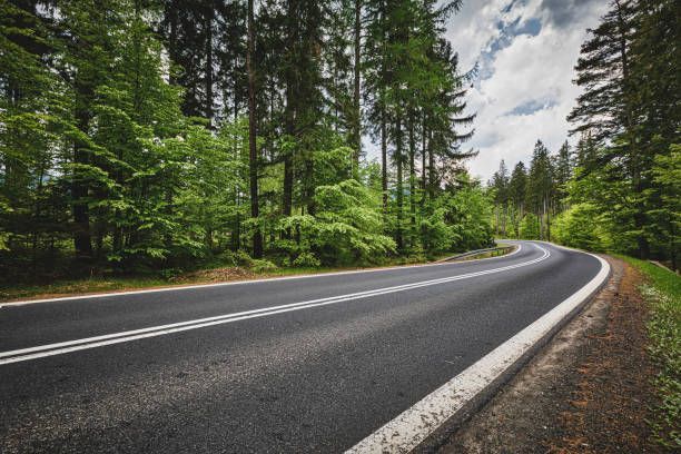 Curving asphalt road through a green forest, under a cloudy sky.
