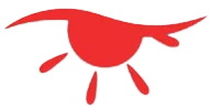 Red eye with radiating teardrop shapes. Red eye with radiating teardrop shapes.