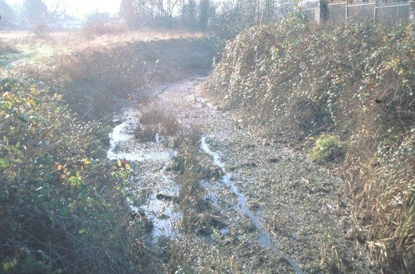 Mill Race Summer Flow