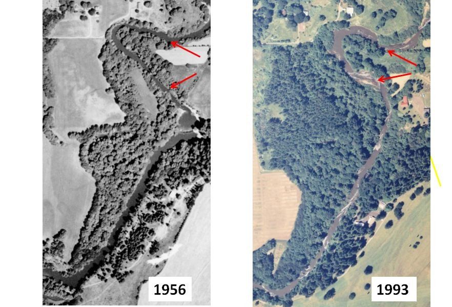 Rerouting the Marys R. in 1967 to Bypass the Dam Has Radically Altered the Channel Immediately Downstream
