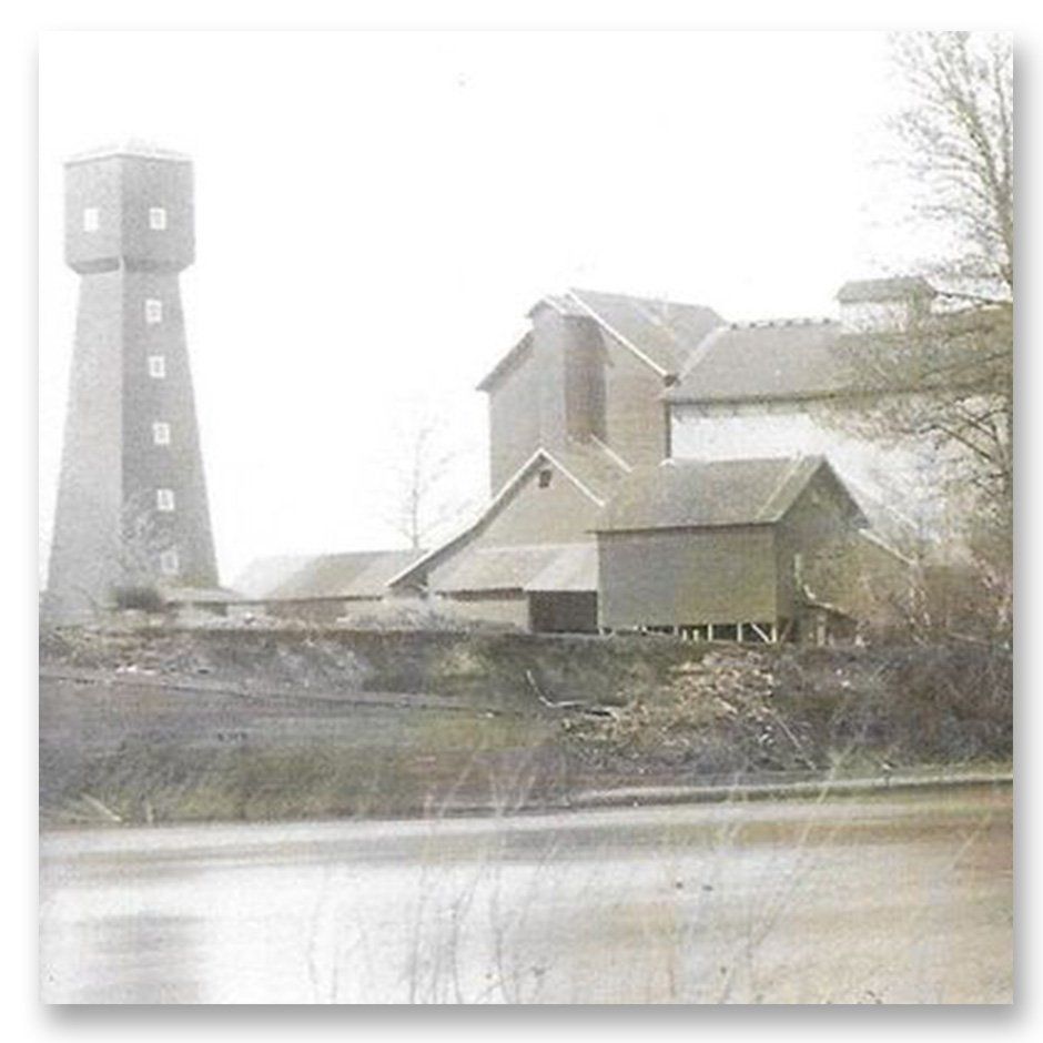 THE CORVALLIS MILL RACE -  Phillip Sollins, Professor of Forest Ecology and Soils, Emeritus College of Forestry, Oregon State University