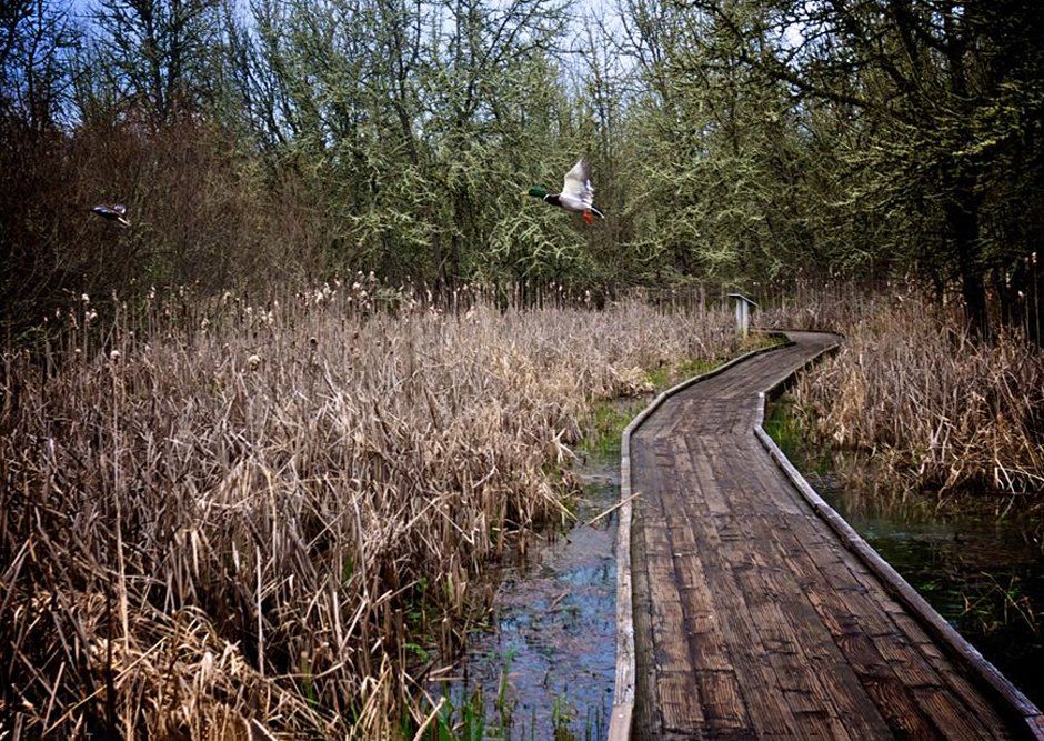 South Corvallis Pre-1800??