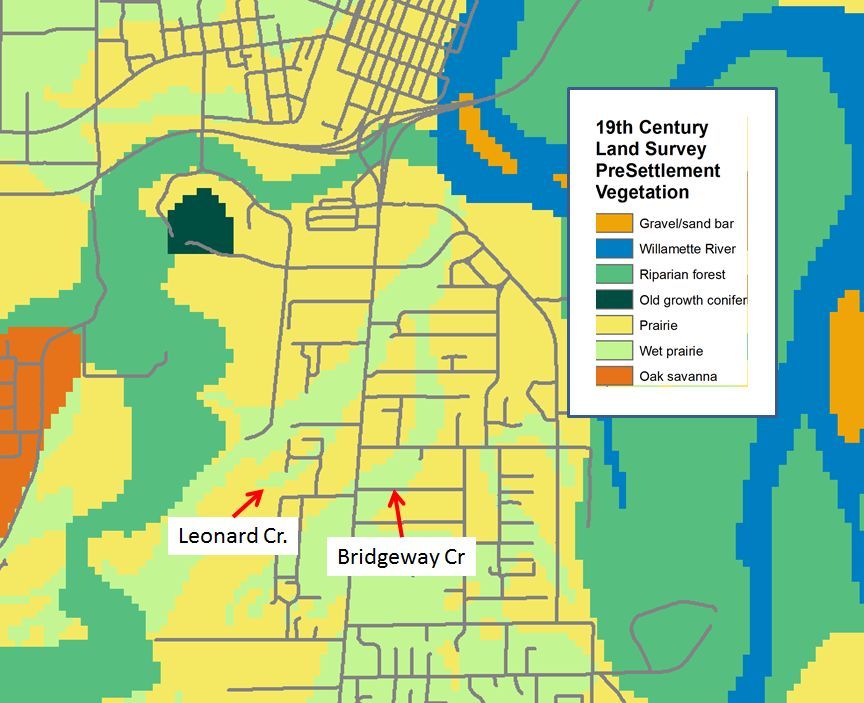 Map of 1853 Vegetation in South Corvallis