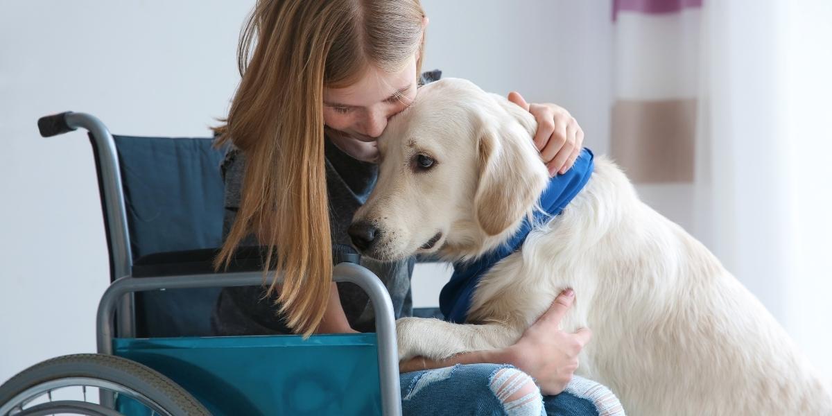 Valiant Support | Disability Support in Brisbane | 1:1 Supports - Assistance Animal Support