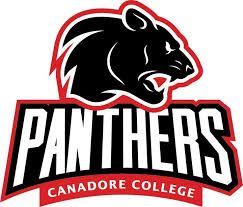 Black panther head logo over 