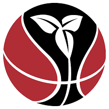 Red and black basketball logo with a white three-leafed plant design in the center.