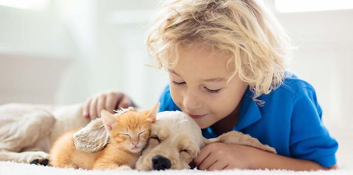 Un jeune garçon est allongé sur le sol avec un chien et un chaton.