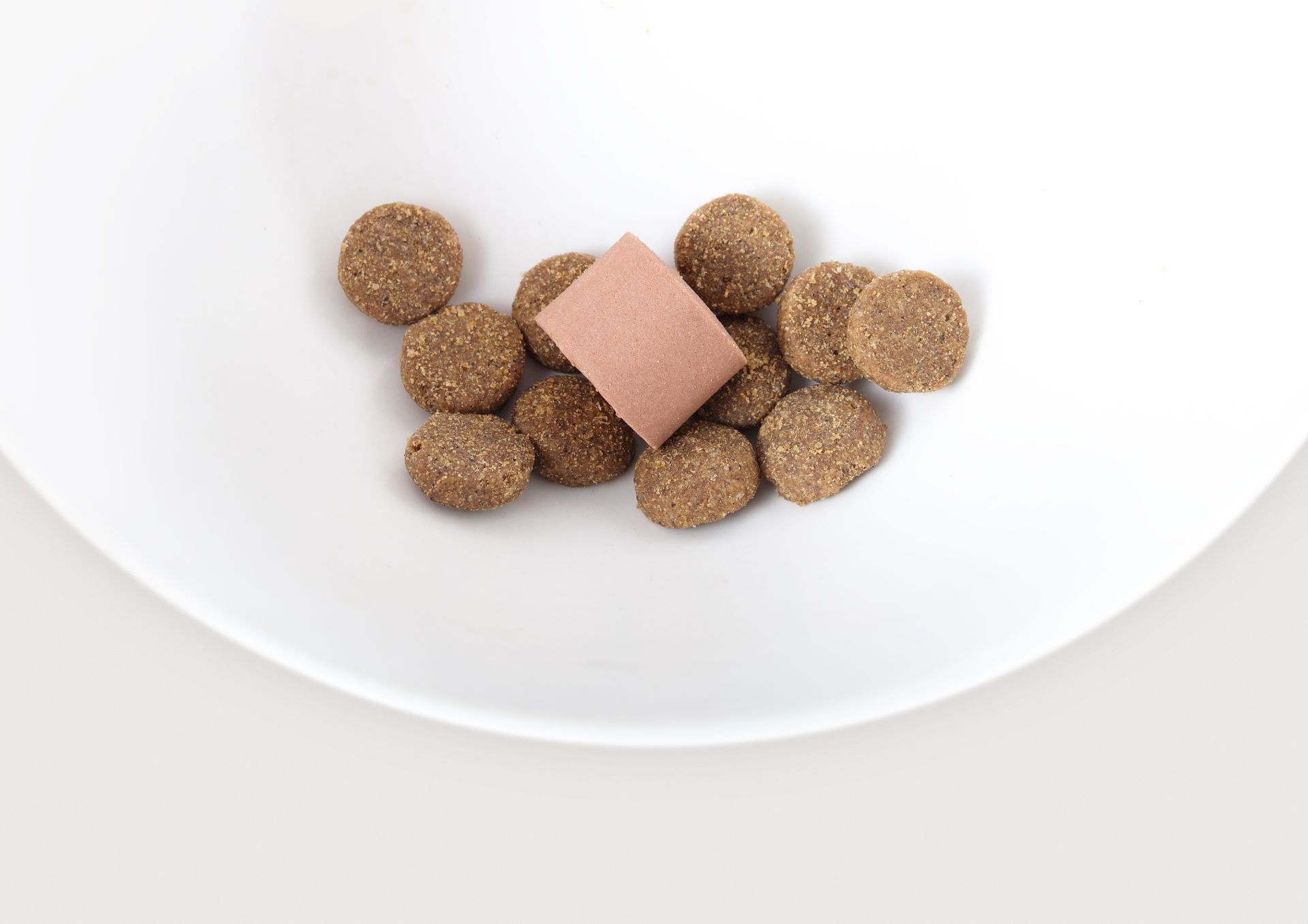 Une assiette blanche garnie de nourriture pour chien et d'un morceau de viande.