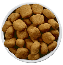 Un bol blanc rempli de nourriture pour chien marron sur fond blanc.