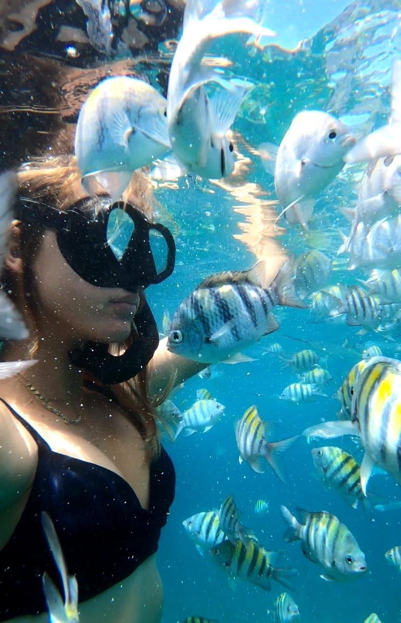 Guest wearing a snorkel mask surrounded by colorful reef fish beneath Sailβ―Theβ―Phoenix