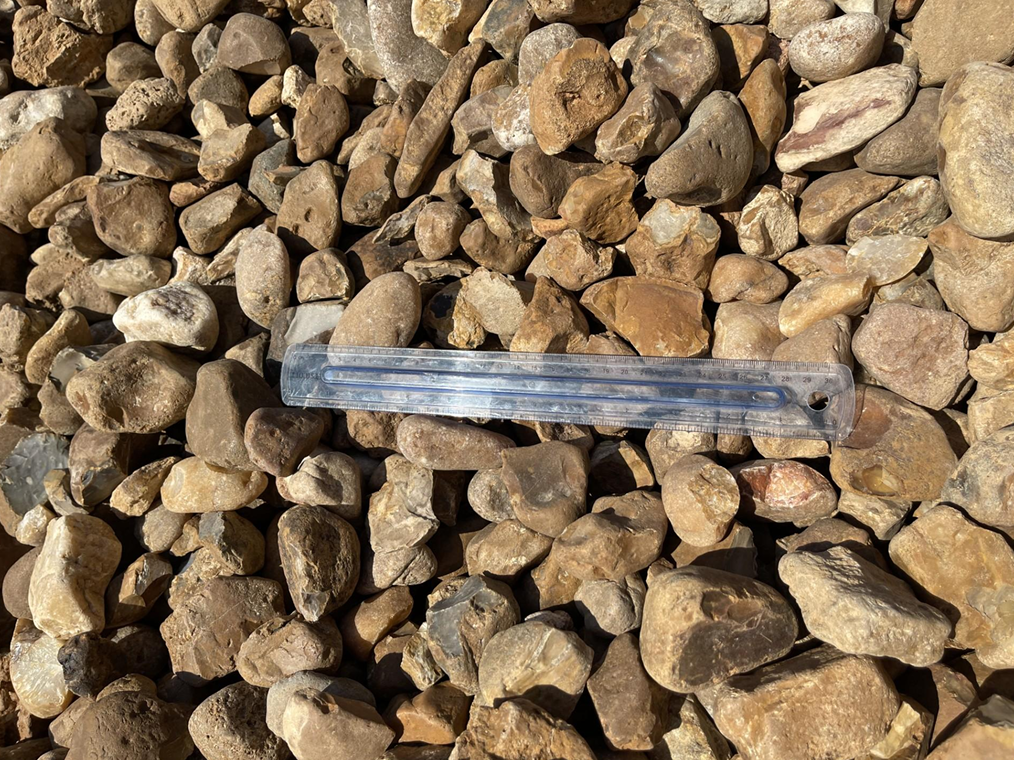 Texas Blend 1” X 3” Bull Rock