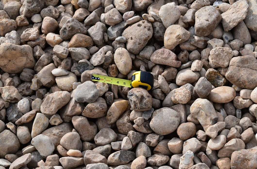 Colorado Bull Rock 2” X 5”