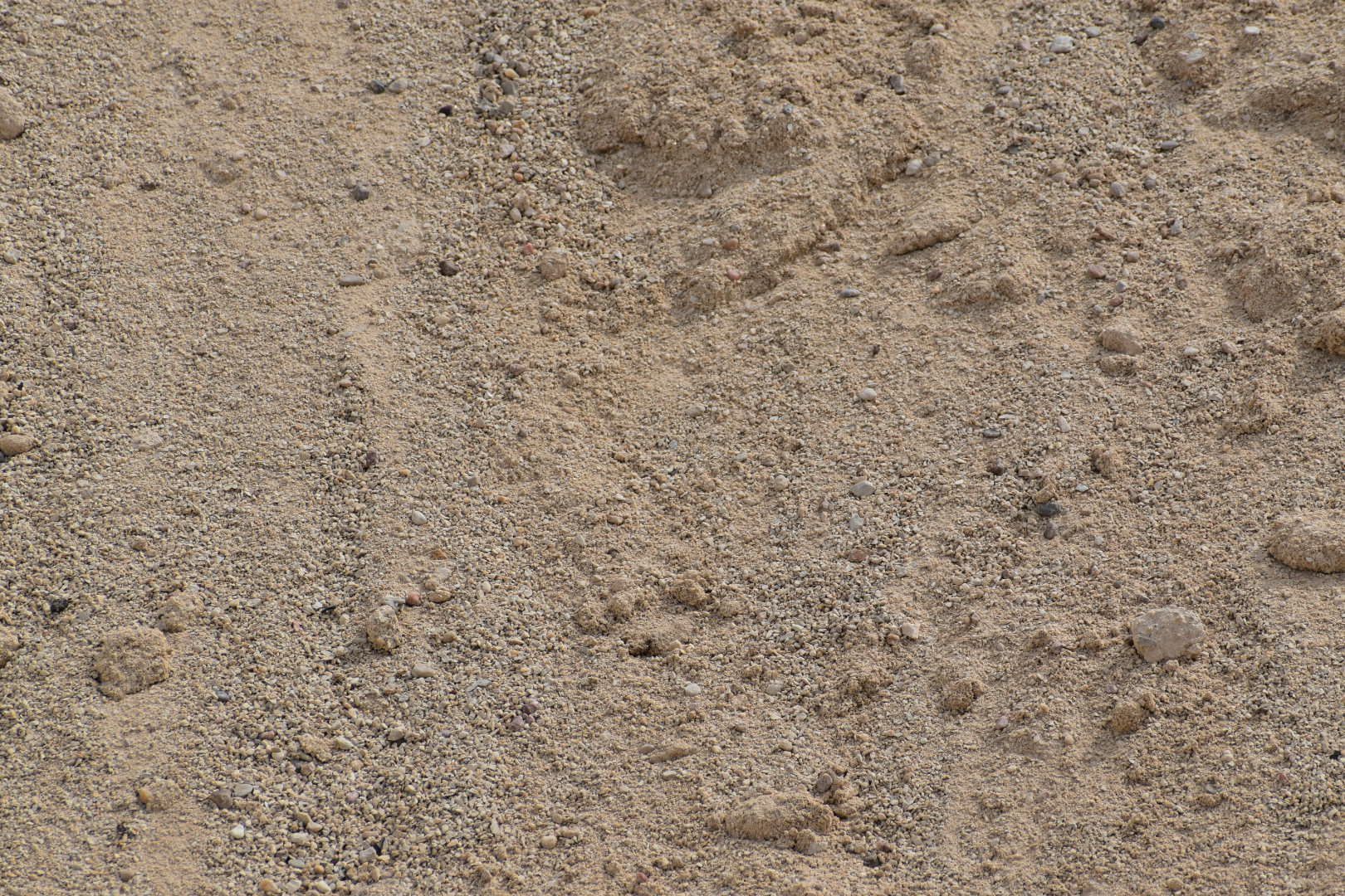 A close up of a pile of sand on a beach.