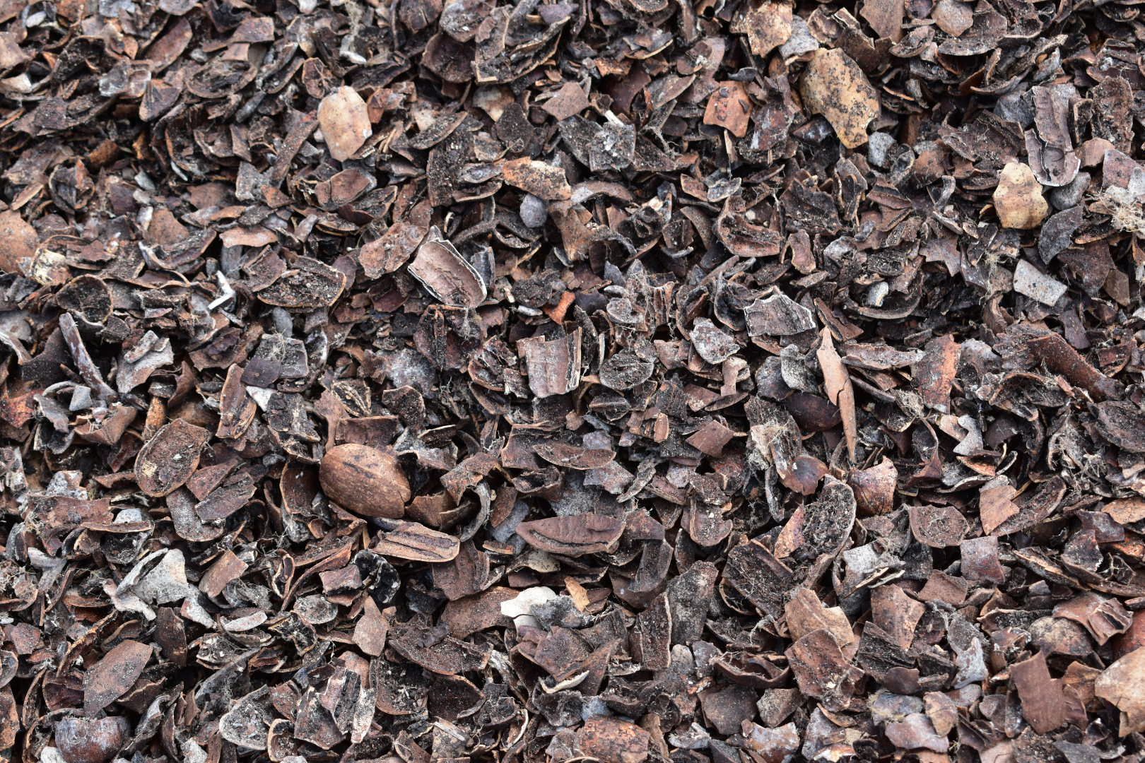 Pecan Shell Mulch