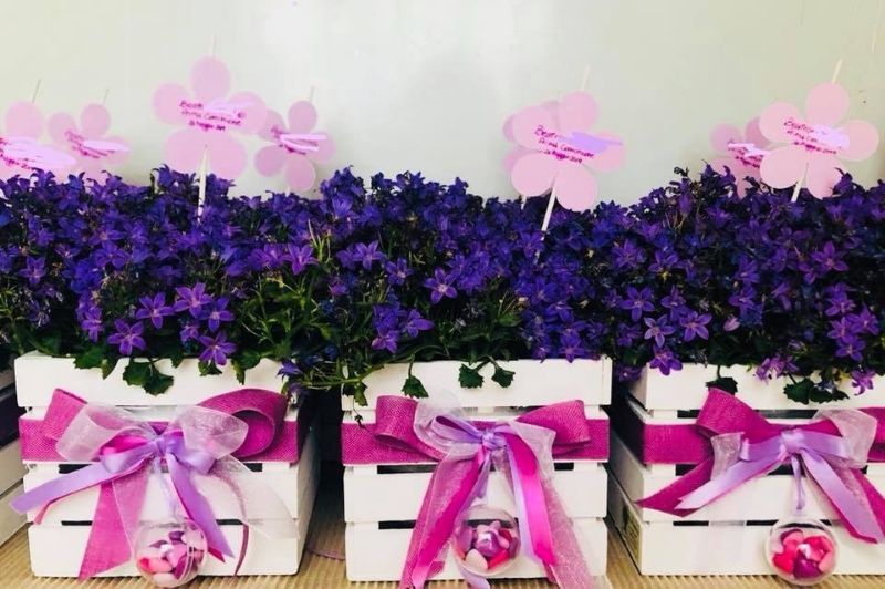 Piantine con confezione regalo personalizzata