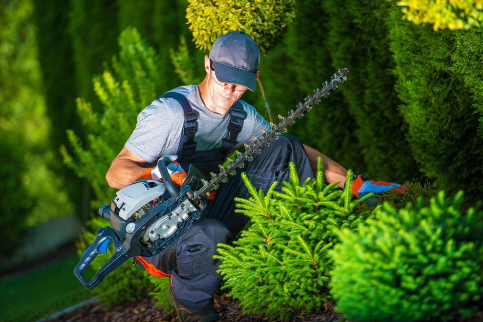 man trimming the hedge