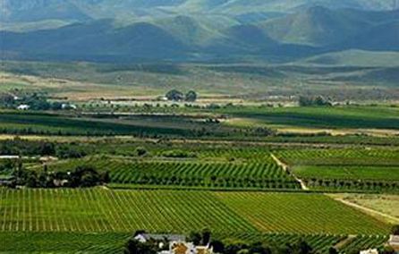 Green fields, rows of crops, distant mountains.