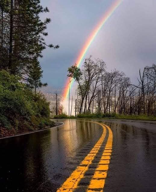 Road reflecting a rainbow arching across the sky, trees line the road's edge, green on one side, bare on the other.