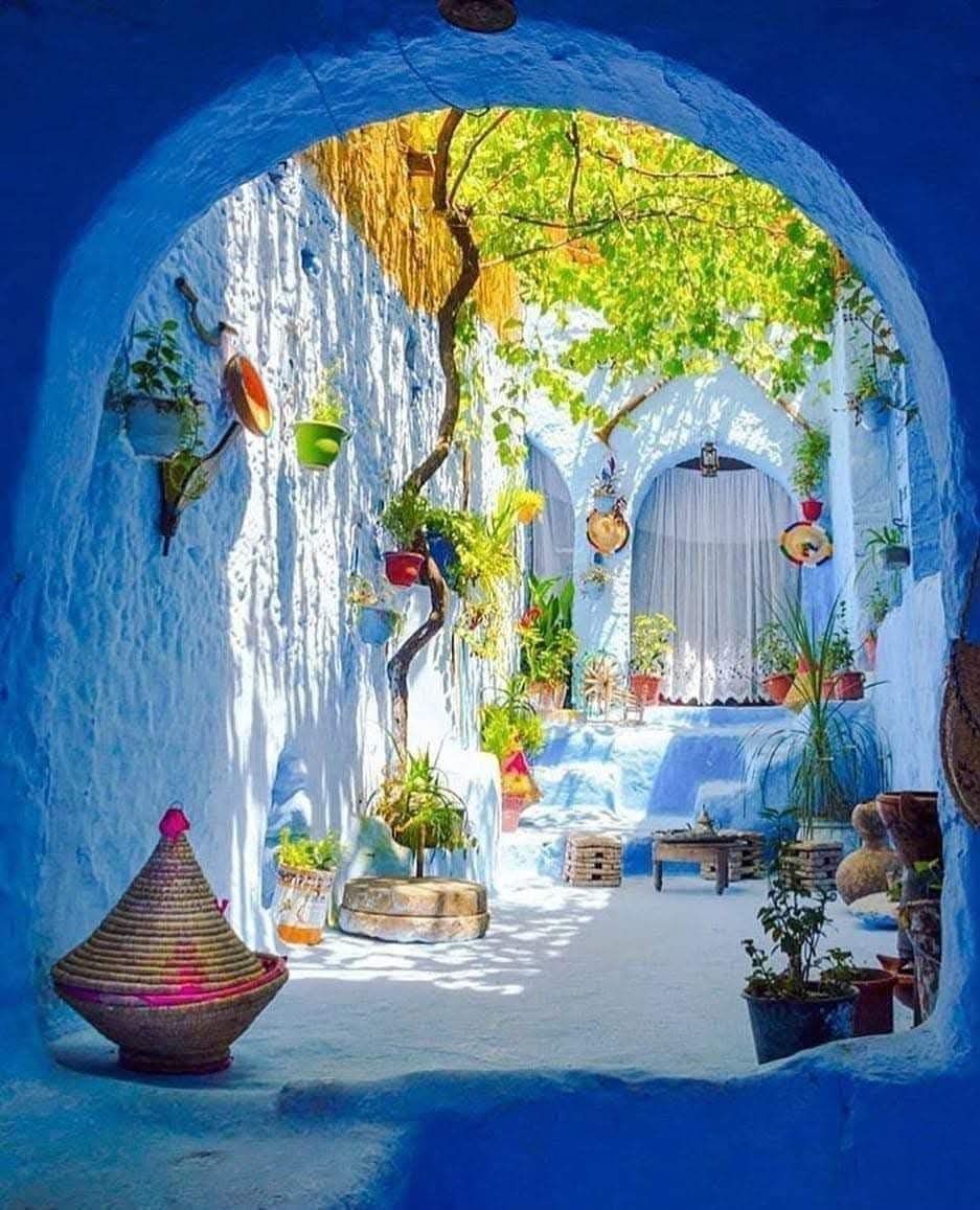 Blue-hued courtyard with vibrant plants, arched doorways, and hanging pots.