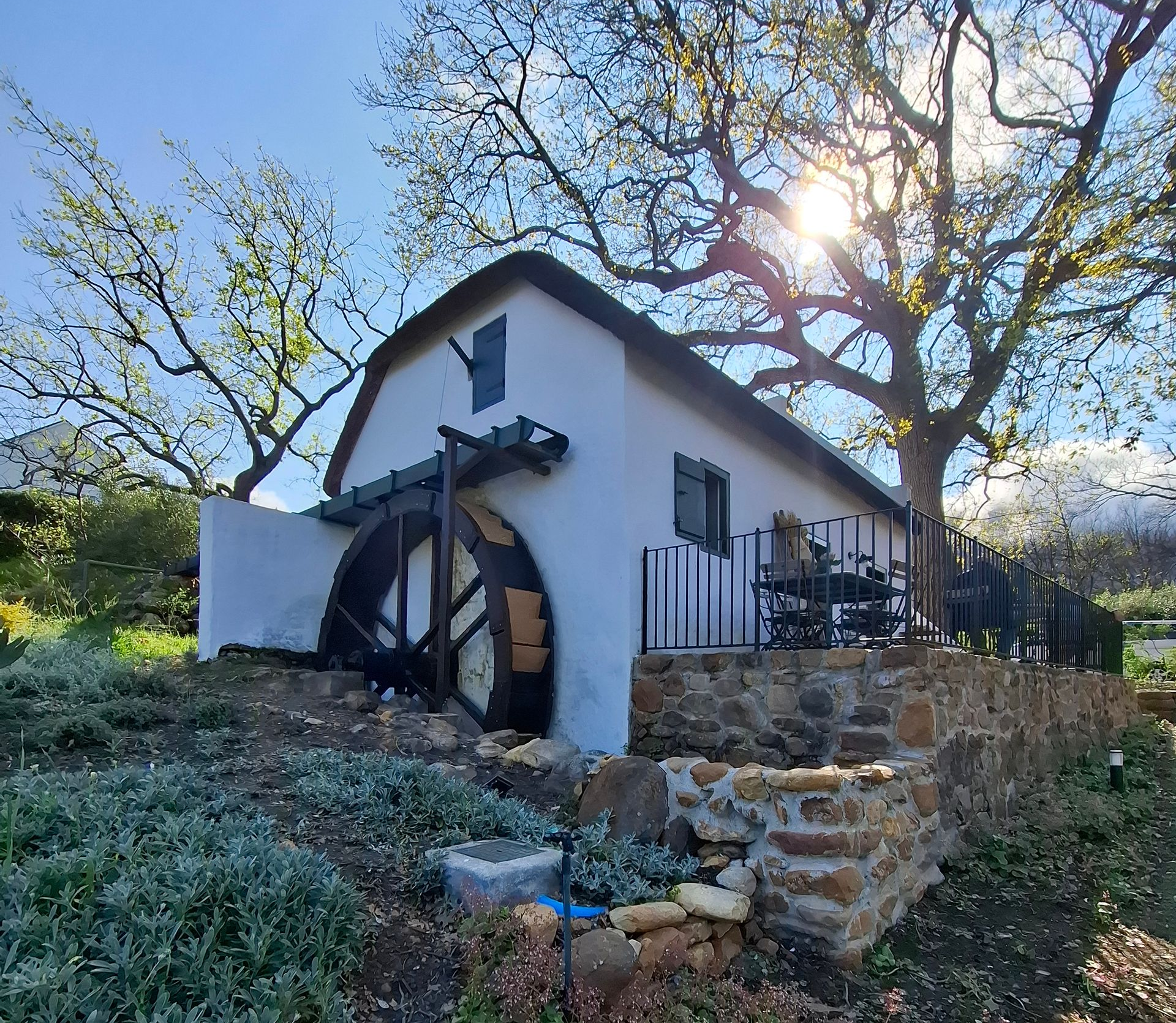 White cottage with water wheel under a large tree, on a sunny day.