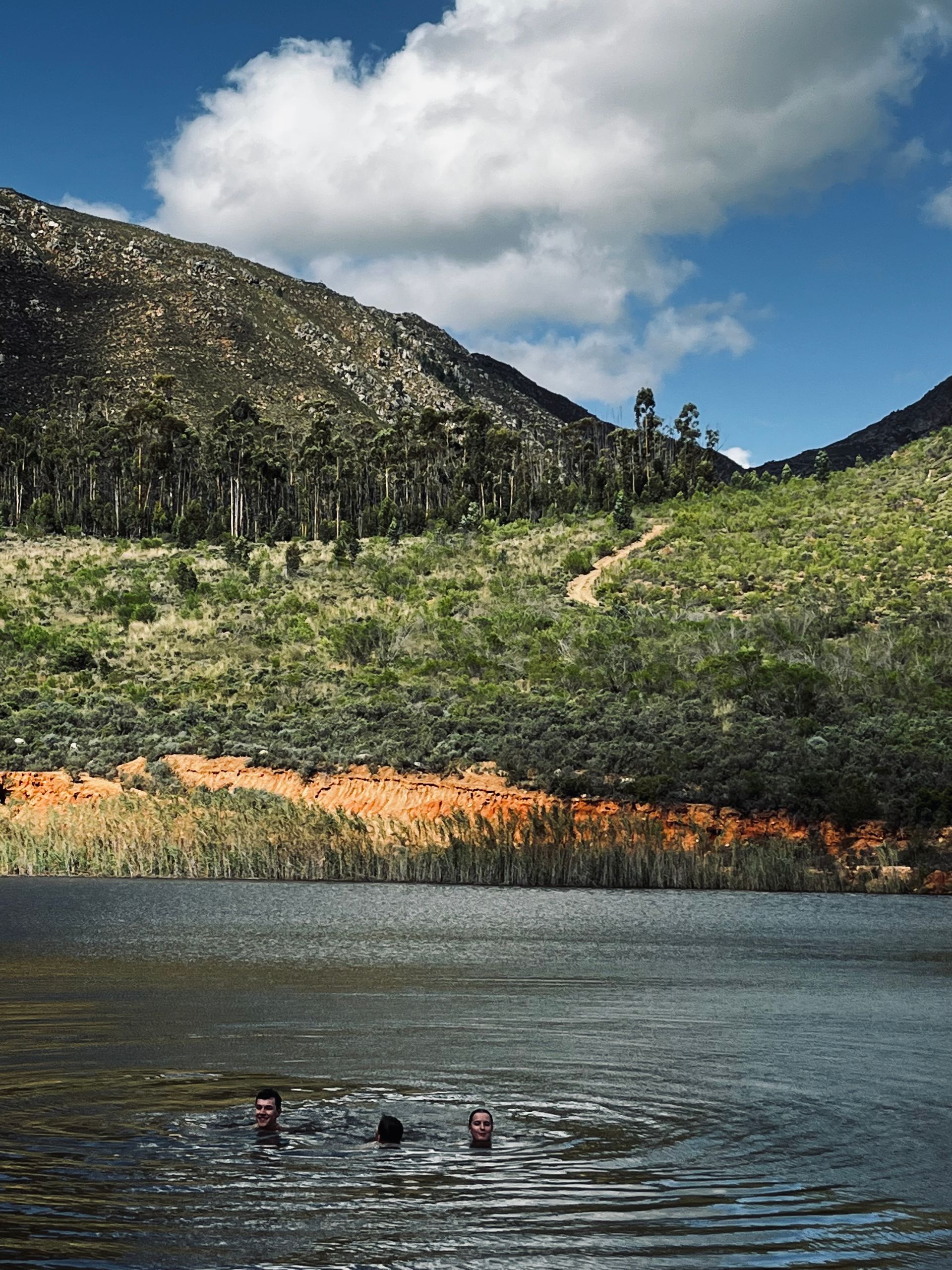People swimming in a lake with mountains and blue sky in the background.