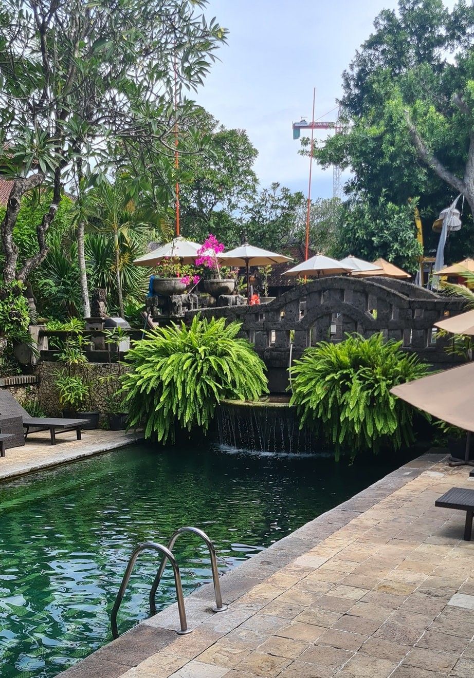 A large swimming pool surrounded by trees and umbrellas.
