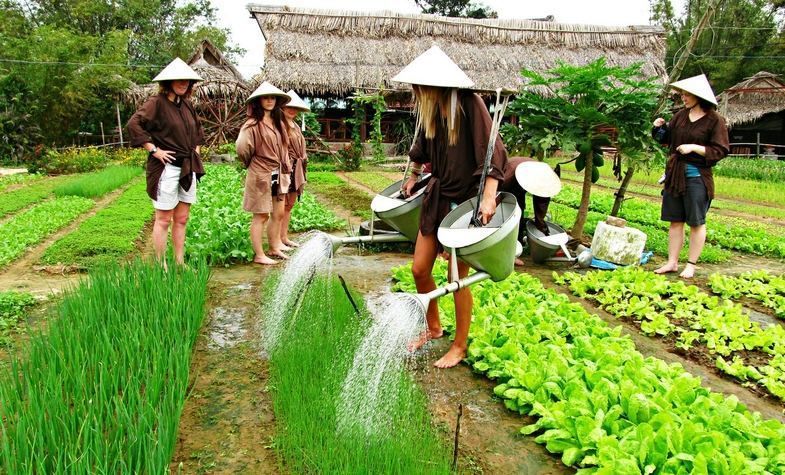 People watering rows of vegetables in a garden, wearing conical hats. A thatched-roof building in the background.