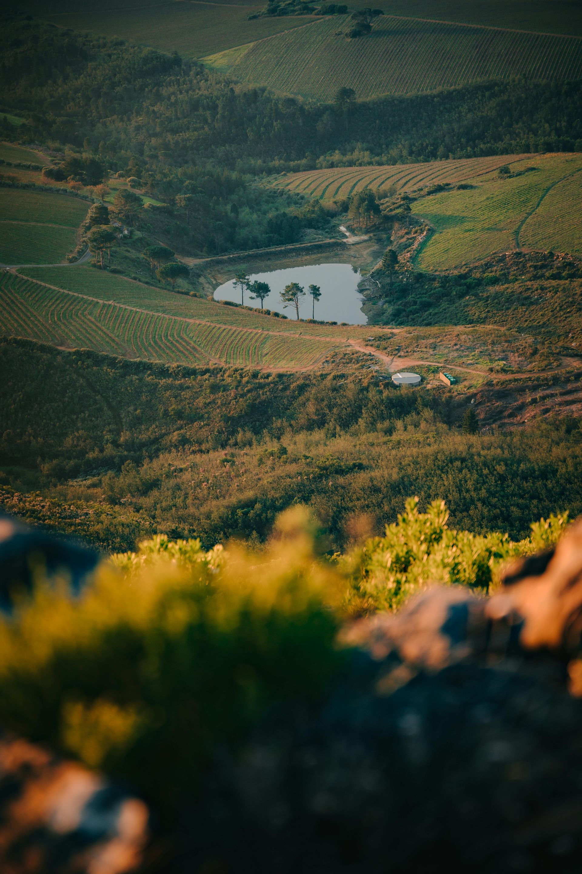 View of a small pond surrounded by green hills and trees. Sunlight illuminates the scene.