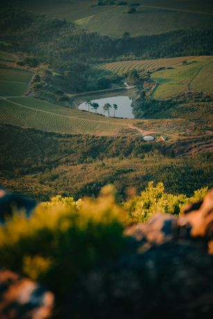 Rolling green hills with a small lake, viewed from a rocky outcrop with sunlit foliage.