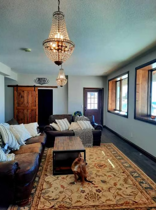 Living room with two chandeliers, brown leather sofas, rug, dog, wooden door and windows.