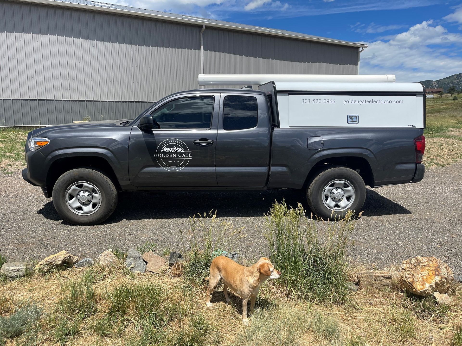 Gray Toyota Tacoma truck with a camper shell, parked outside. A dog stands in the foreground.